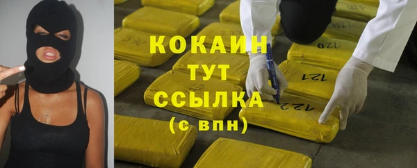 соль ск Краснослободск
