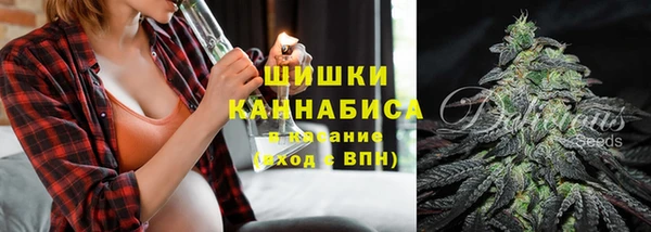 ГАЛЛЮЦИНОГЕННЫЕ ГРИБЫ Алзамай