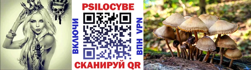 Галлюциногенные грибы мухоморы  где купить наркоту  Энгельс 